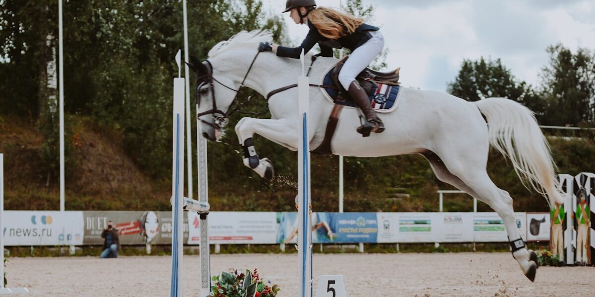 Arabian Horse: History, Traits, and Care