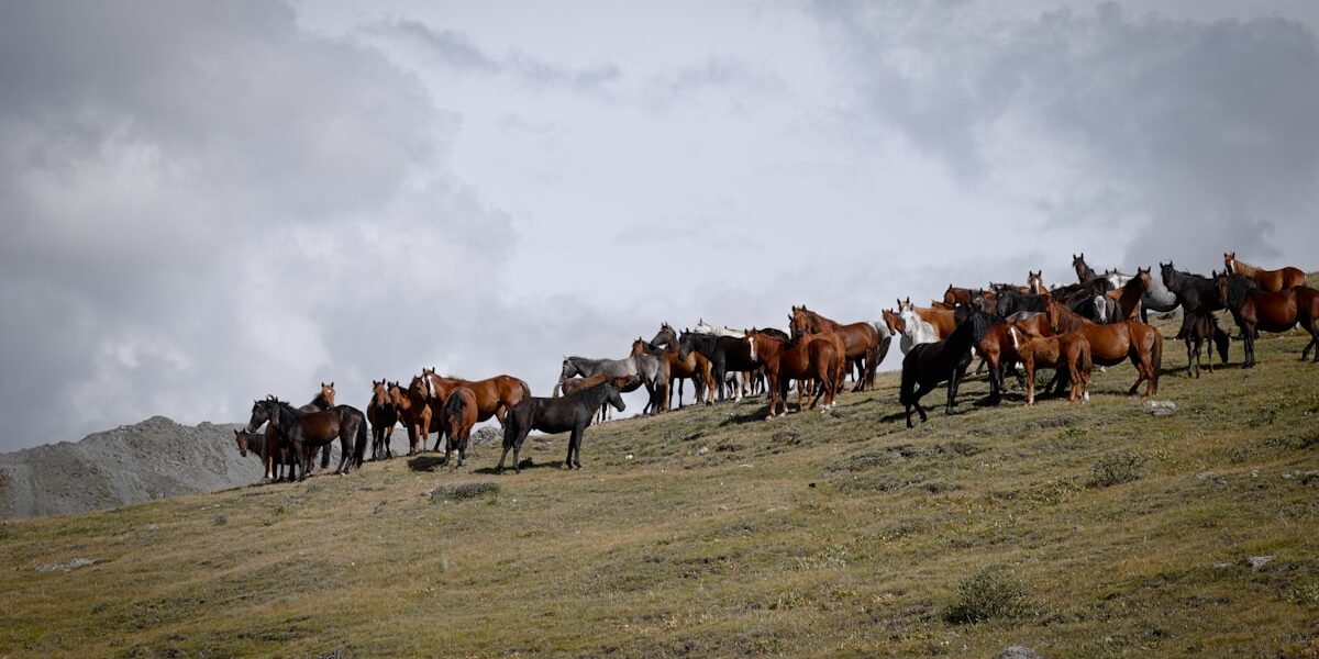 Do Horses Sleep Standing Up? The Truth About Equine Sleep