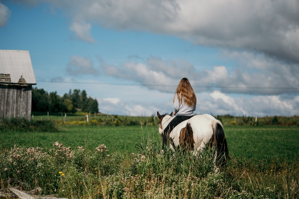 Correcting unwanted horse behavior