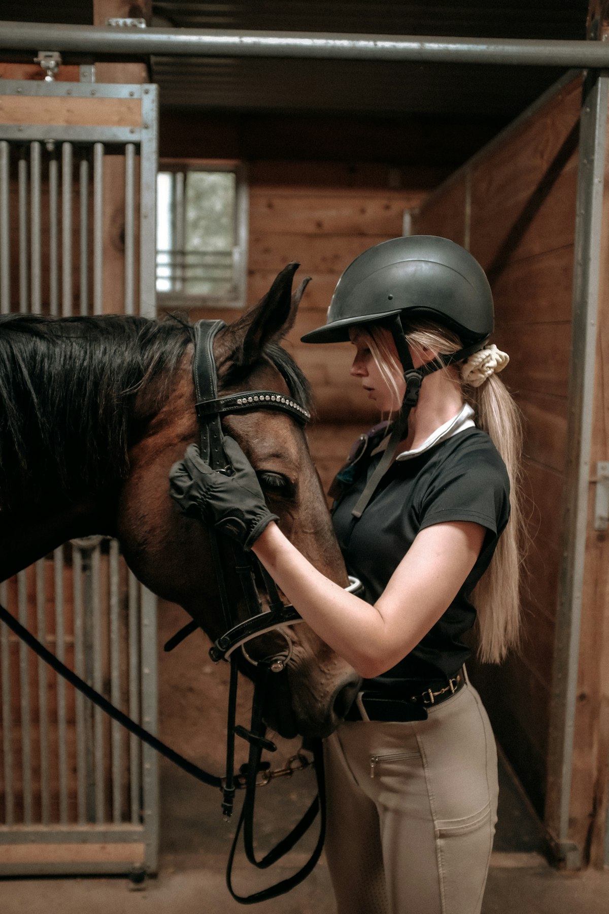 Well-managed horse showing positive behavior