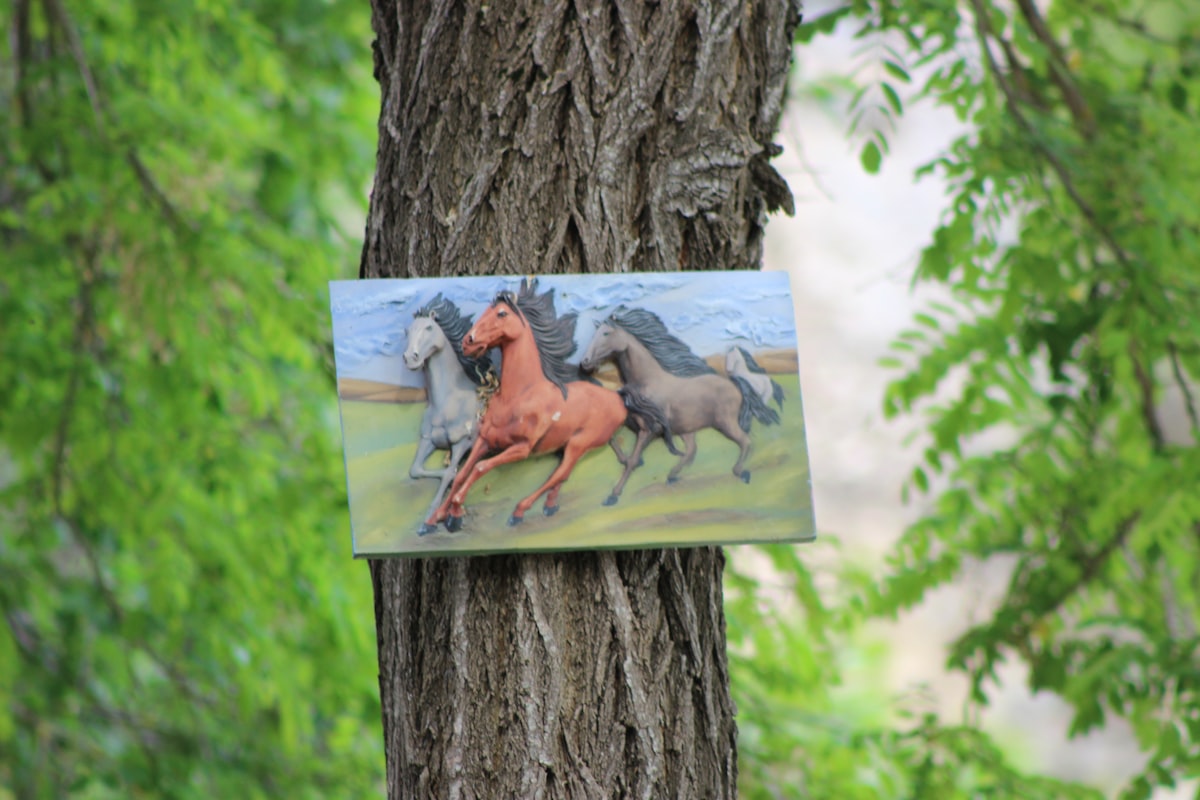 Confident horse and rider partnership