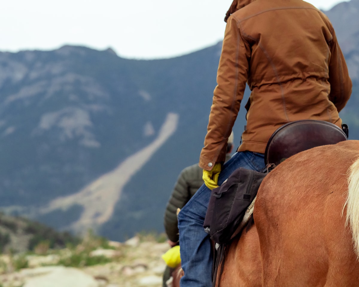 Horse with companion animal