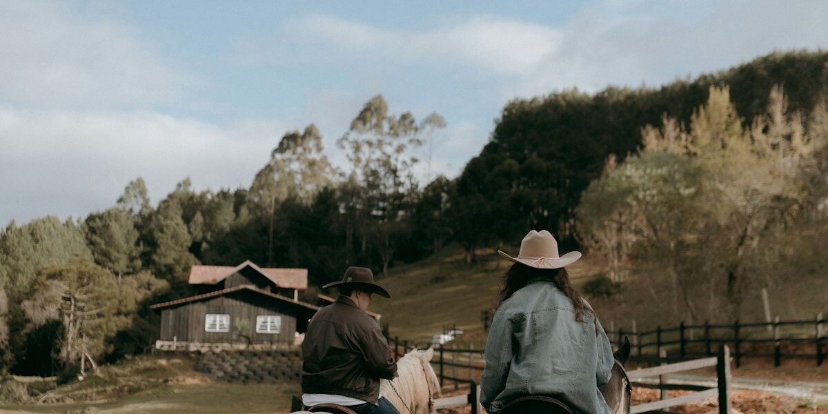 Complete Guide to Buying Your First Horse