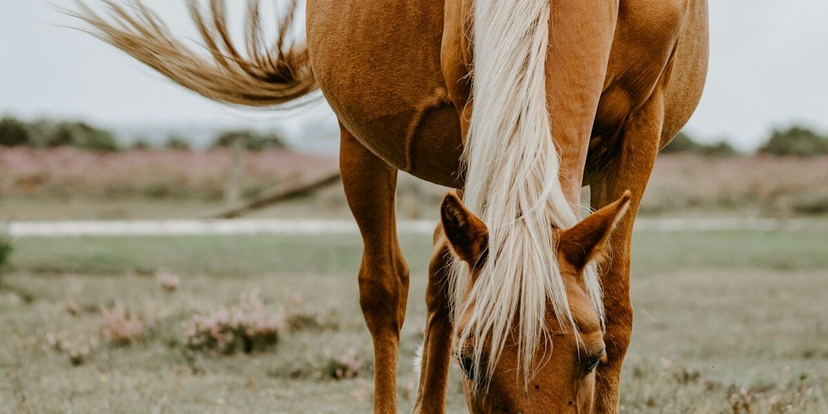 Common Training Mistakes and How to Avoid Them