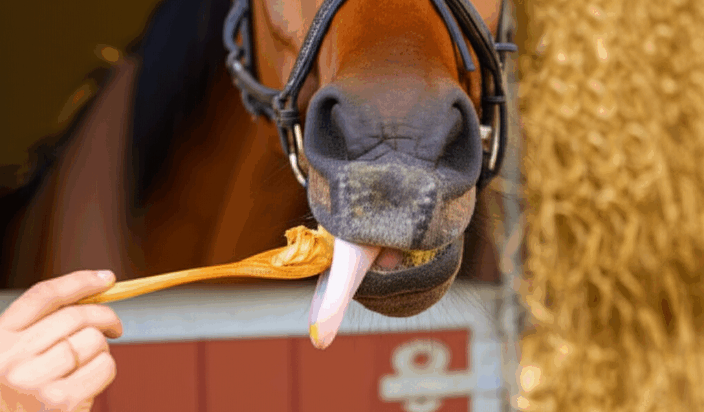 Can Horses Eat Peanut Butter? Surprising Answer [2026]