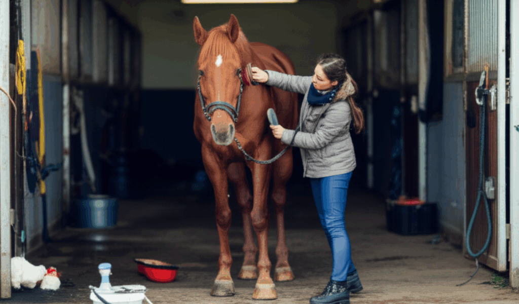 Horse Grooming Tools Every Owner Needs [2026]