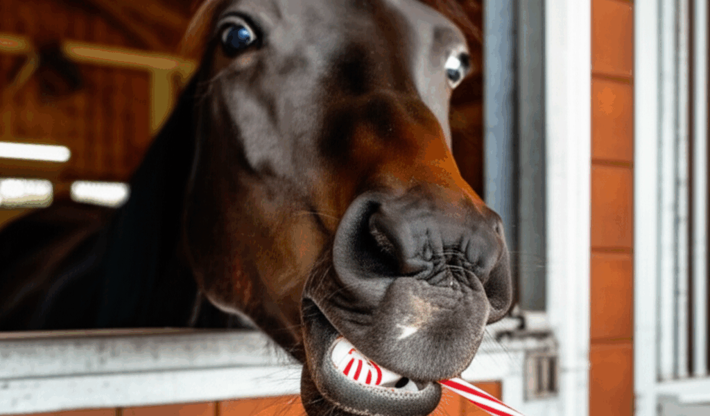 Switched Bits and She Likes It