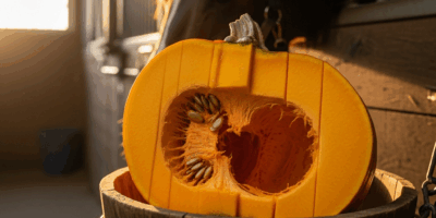 Can Horses Eat Pumpkin Yes But Cut It Right or Risk Choking
